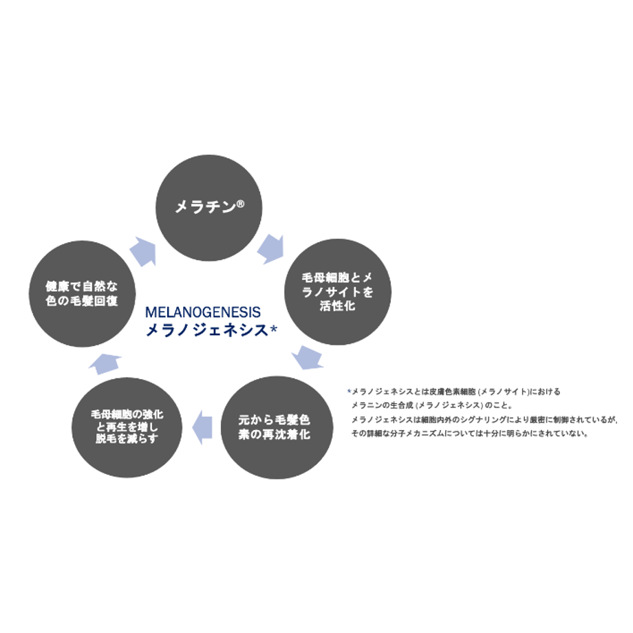 62bbe5c04ff8c20dfc26216e