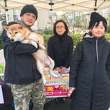 SHIBA'S STORE