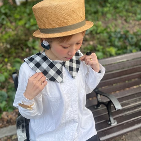 reversible triangle collar  (2610)