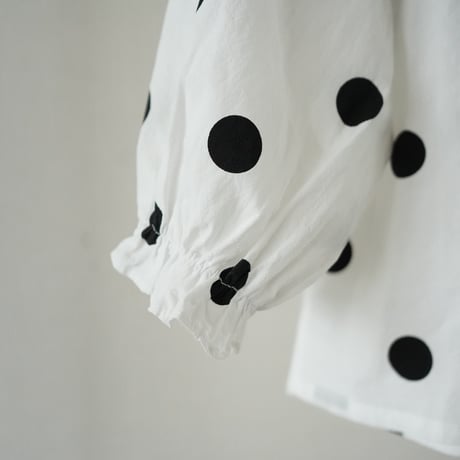 dot blouse  (2555)