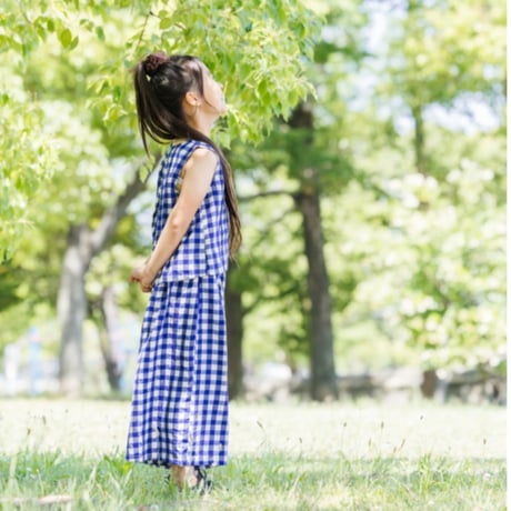 blue gingham check setup (2631）