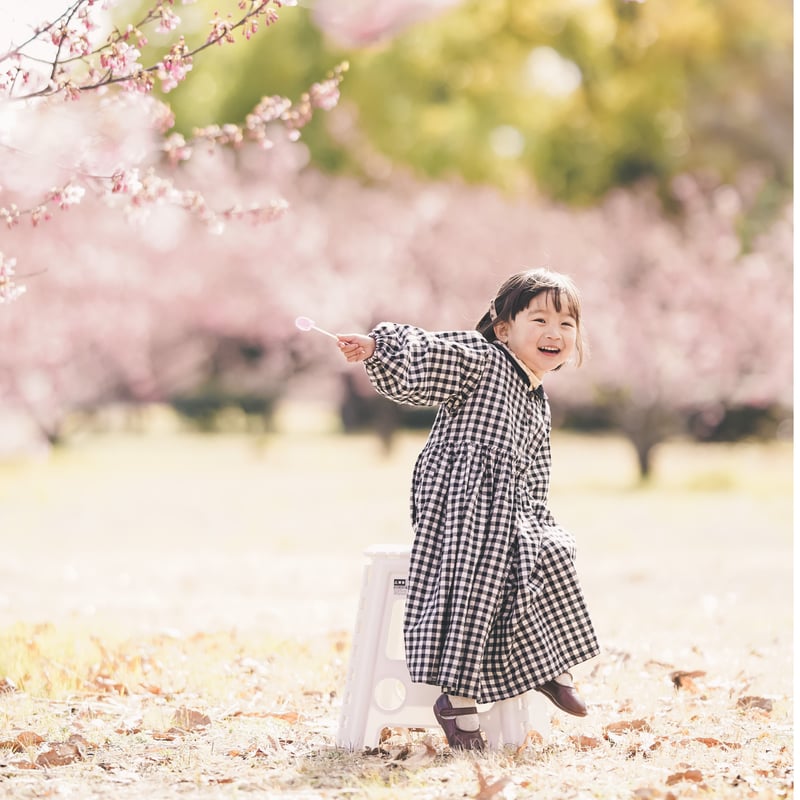 ワンピース niko_niko_ check sailor niko one-piece (2405) | nikomake