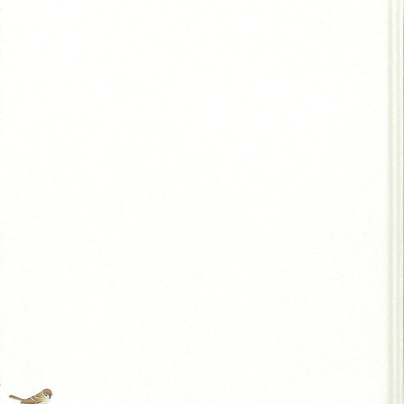 鈴木紀和子 画集 | SEIZAN Gallery Online Store