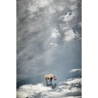 丹野徹 The rhinoceros which walks the sky