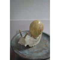 相場るい児 ゆらゆら蝸牛