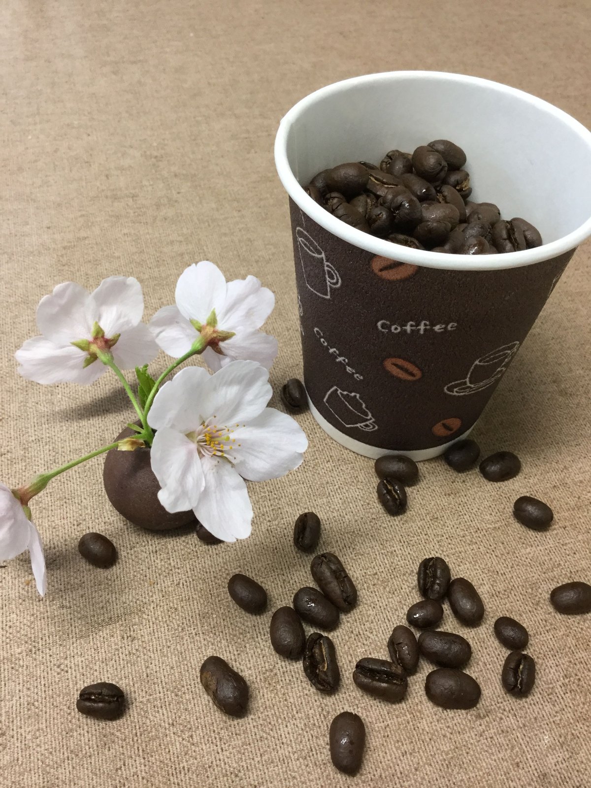 パプアニューギニア 天空の森 修道院のコーヒー 200g | Cuddle Coffee