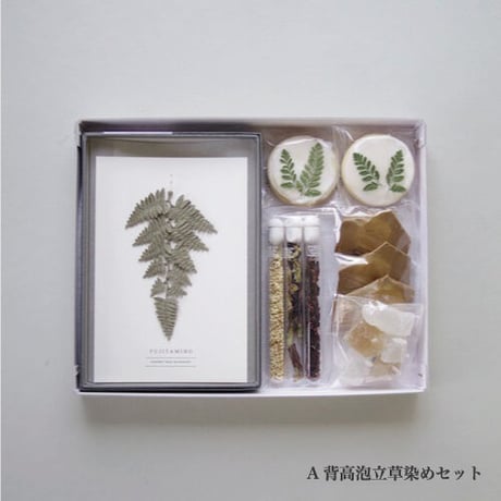 【アキコラセット１】空の木Garden  ×  HerbalCafePRANA  ×  藤田美帆  ×  伊藤靖史  ×  阪本真千代「お菓子とお茶と耳飾りの標本箱」