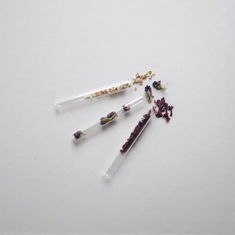 【アキコラセット１】空の木Garden  ×  HerbalCafePRANA  ×  藤田美帆  ×  伊藤靖史  ×  阪本真千代「お菓子とお茶と耳飾りの標本箱」