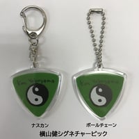 ハメパチ 横山健シグネチャーピック
