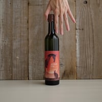 JAPAN PREMIUM GIN | GIN BOTTLE SHOP