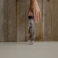 きち❗️【新品】ストークヴァリー・ジャパンプレミアムジン 2種2本