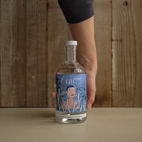 BER DRY GIN | GIN BOTTLE SHOP