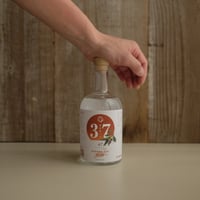 KAGAWA-KEN GIN