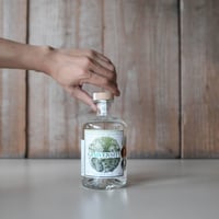 GINIVERSITY BOTANICAL GIN
