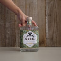 SIX DOGS HONEY LIME GIN | GIN BOTTLE SHOP