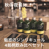 魅惑のジンリキュール、4銘柄飲み比べセット