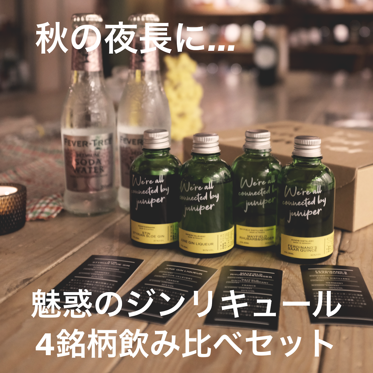 魅惑のジンリキュール、4銘柄飲み比べセット | GIN BOTTLE SHOP