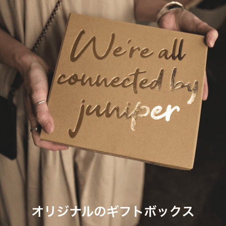 ジャパニーズジン、4銘柄飲み比べセット