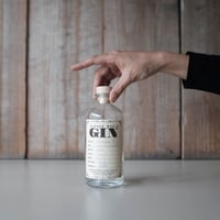 HIDDEN WORLD GIN MONSTER J