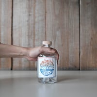 GINIVERSITY LONDON DRY GIN