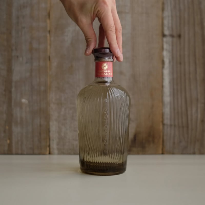 2026年 ゴトジン ザ・カカオ 500ml gotojin 2026年発売 ゴトジン ザ