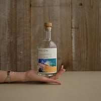 その他 HOLON Chai Apothecary GIN ご好評により復活】HOLON × Chai Apothecary CHAI GIN 予約販売