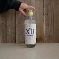 GIN Ⅻ CITRUS | GIN BOTTLE SHOP