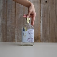 LAST ELYSIUM  [375ML]
