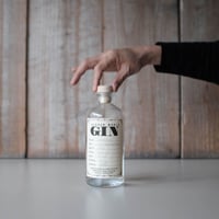HIDDEN WORLD GIN GINIPA