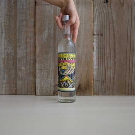 GIN BOTTLE SHOP