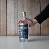 POOR TOMS FOOLS STRENGTH GIN