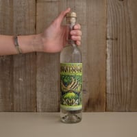 KAVALAN GIN | GIN BOTTLE SHOP KAVALAN GIN | GIN BOTTLE SHOP