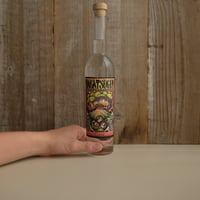 NAKATSU GIN  PINK LEMONADE 2nd