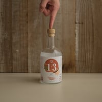TOKYO GIN