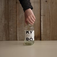 LE BON TIKKA BATCH No2 | GIN BOTTLE SHOP