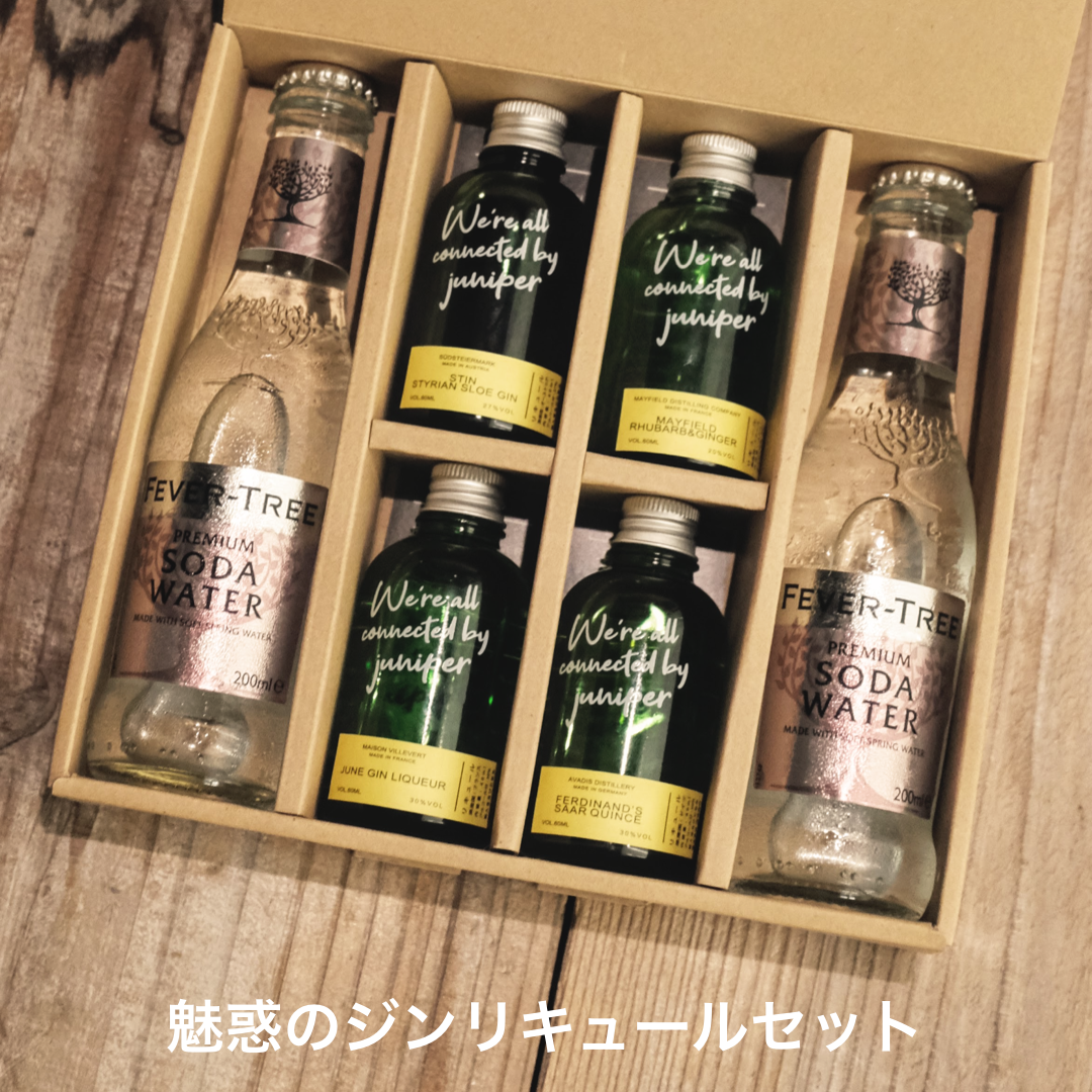 魅惑のジンリキュール、4銘柄飲み比べセット | GIN BOTTLE SHOP