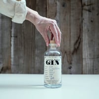 プロヒビションジン、メルボルンジン、グレイグースウォッカ、セット プロヒビションジン、メルボルンジン、グレイグースウォッカ、セット