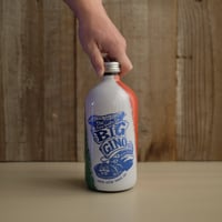BIG GINO ITALIAN LABEL