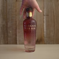 PROFESSORE MADAME GIN | GIN BOTTLE SHOP