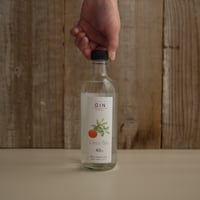 CRAFT GIN CITRUS BEE