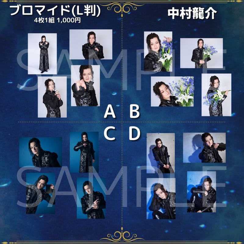 蒼穹の王】L判ブロマイド | ILLUMINUS STORE