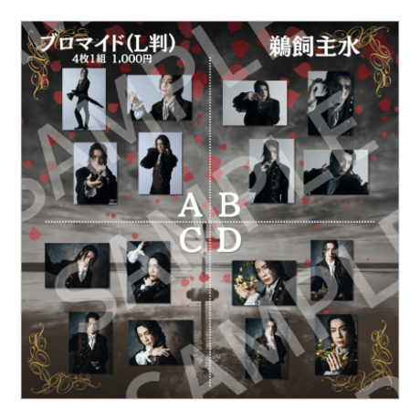 過去公演L判ブロマイド