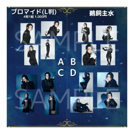 過去公演L判ブロマイド