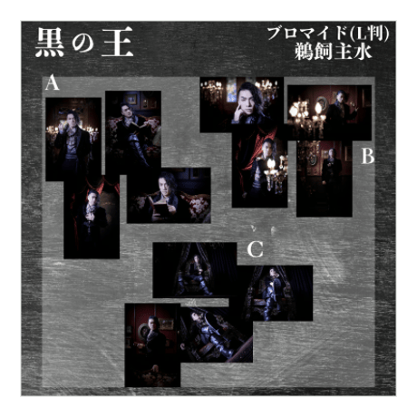 過去公演L判ブロマイド