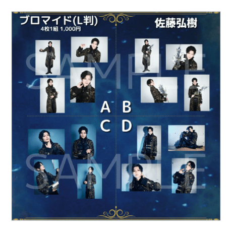過去公演L判ブロマイド
