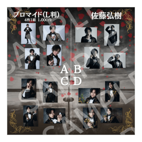 過去公演L判ブロマイド