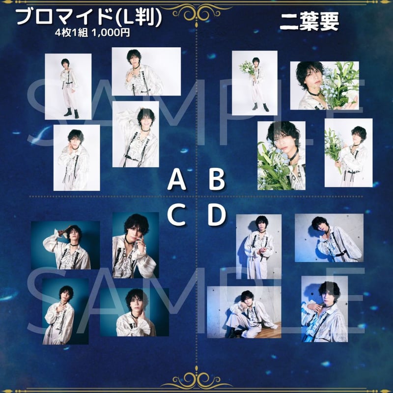 蒼穹の王】L判ブロマイド | ILLUMINUS STORE