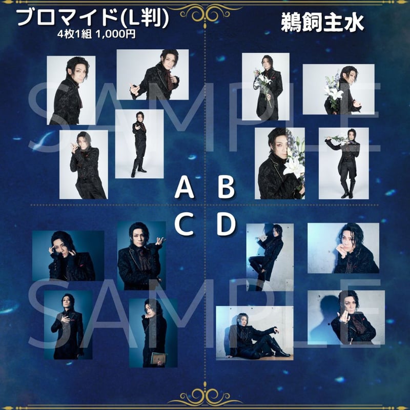 蒼穹の王】L判ブロマイド | ILLUMINUS STORE