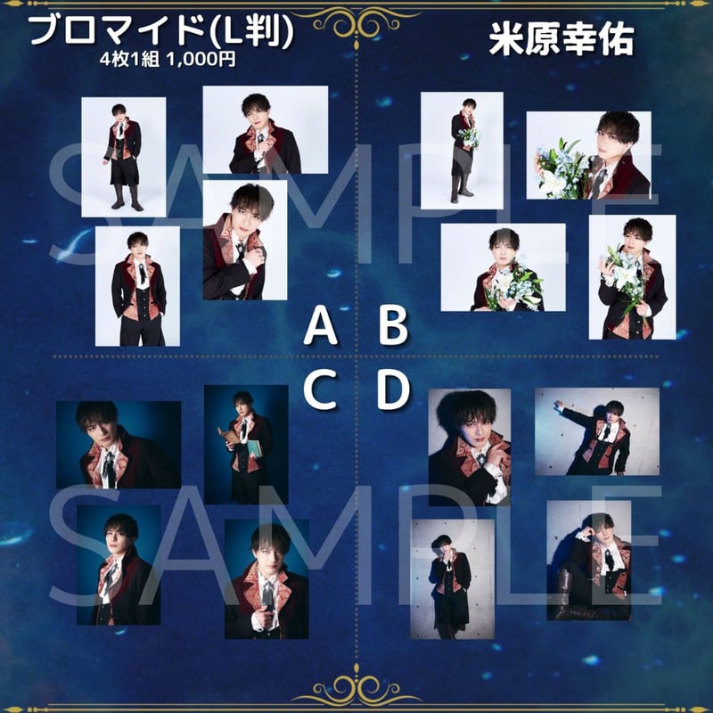 蒼穹の王】L判ブロマイド | ILLUMINUS STORE