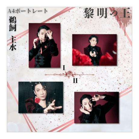 過去公演A4ポートレート